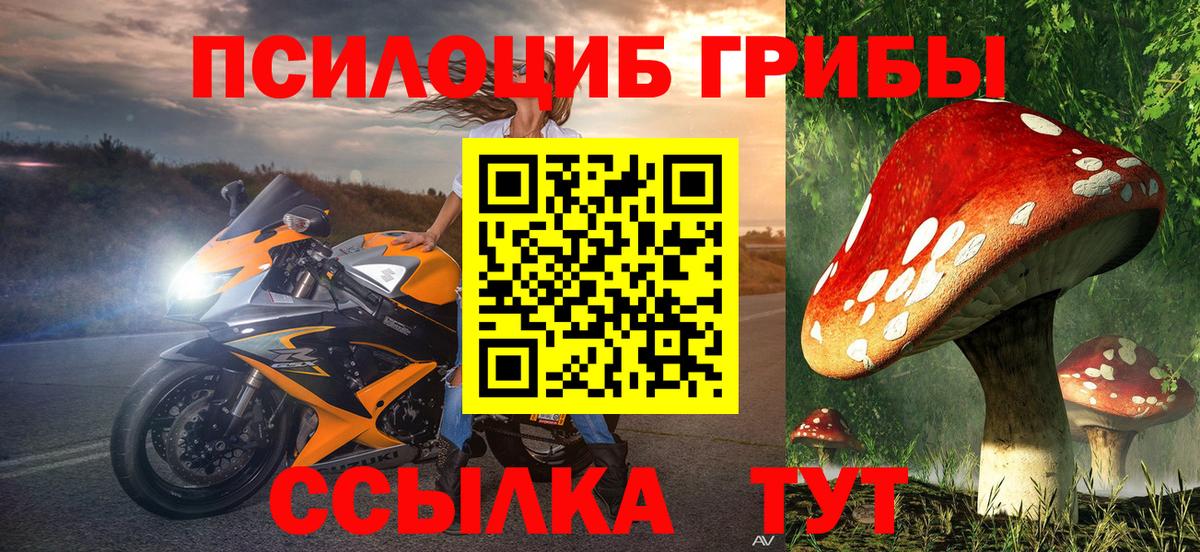 Галлюциногенные грибы мухоморы Кингисепп